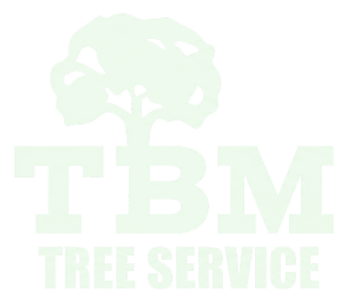 TBM Tree Service Shelbyville, TN